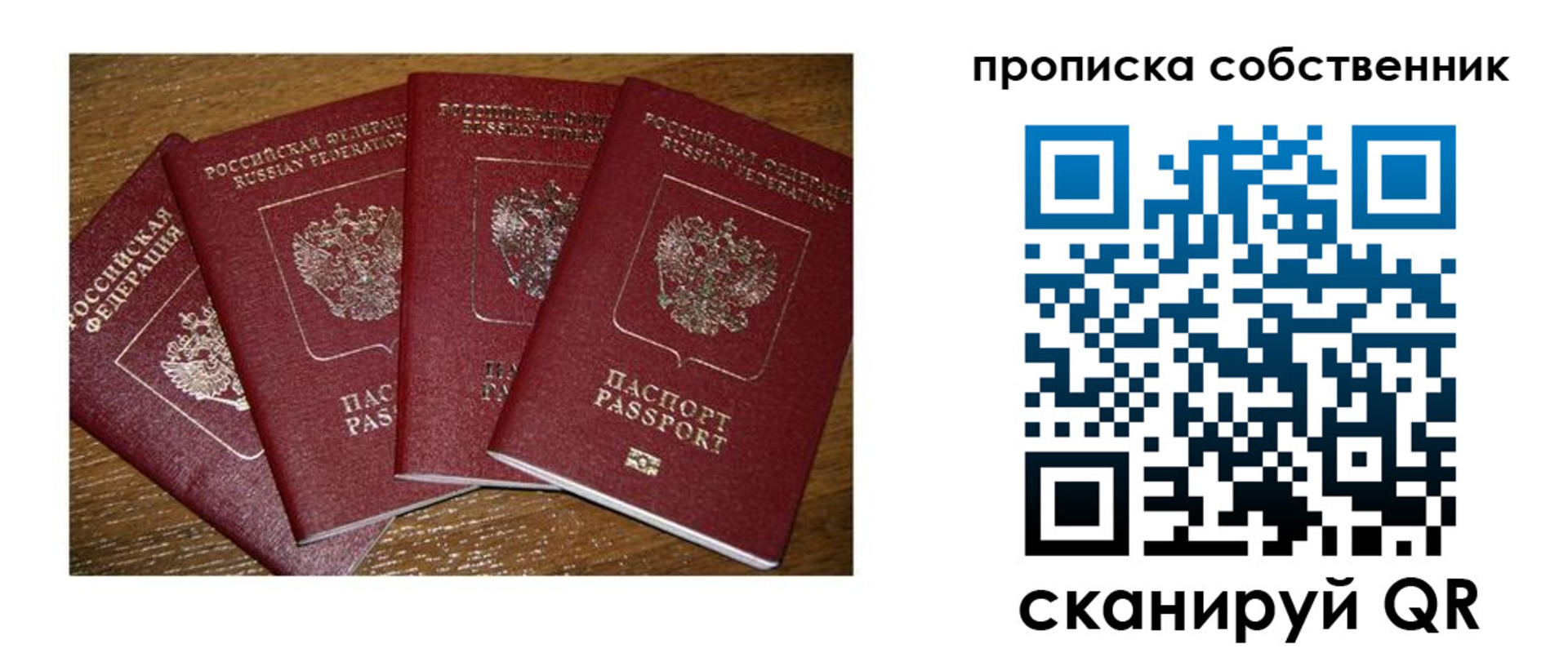 прописка поиск в Владимире